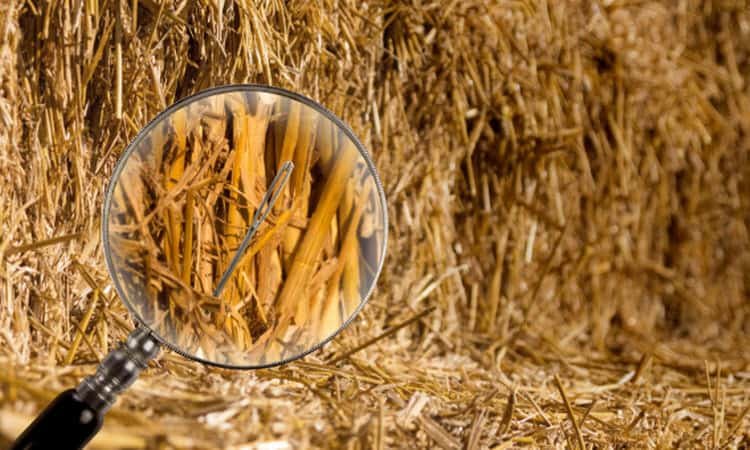 Finding the Needle in the Haystack: Troubleshooting Performance Issues with ASH and dashtop.sql